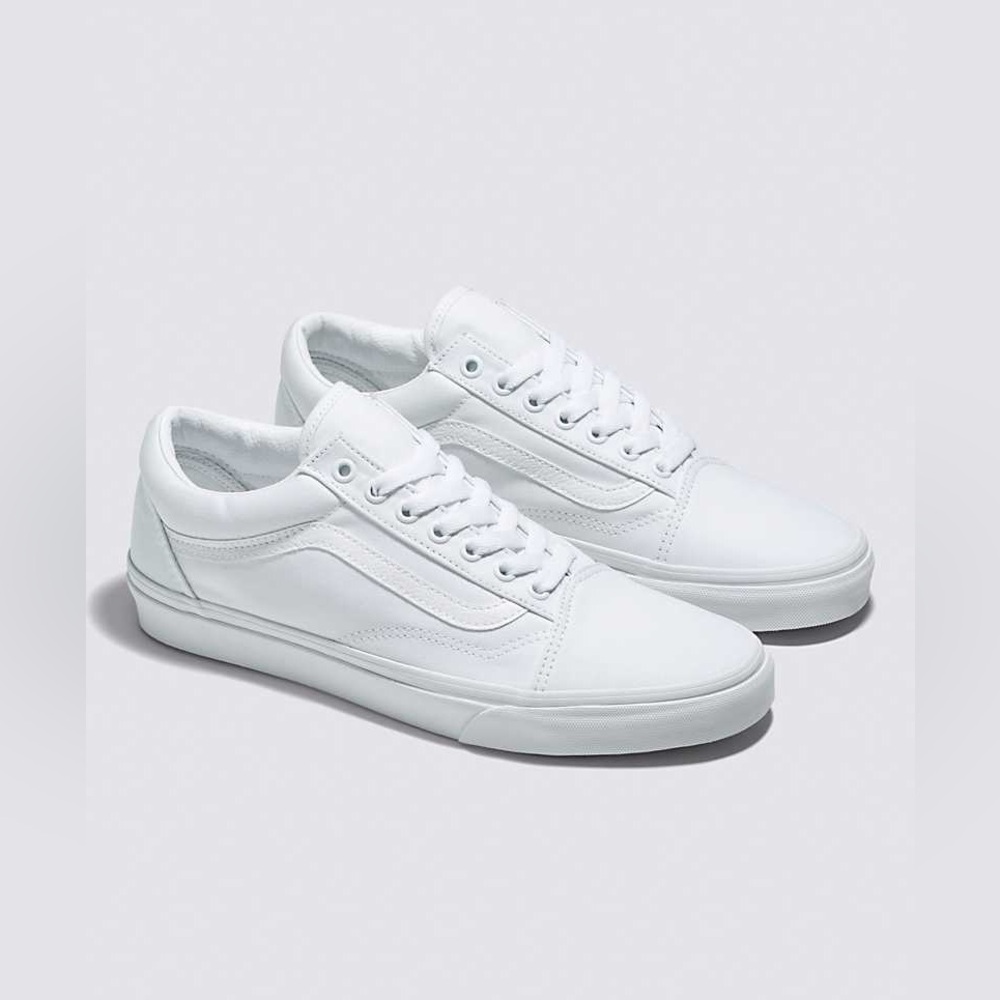 VANS Old Skool Canvas Shoe